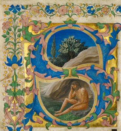 Początkowy S: Praca autorstwa Francesco di Antonio del Chierico