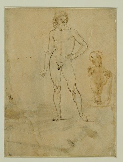 Nagi młodzieniec, stojący; Dzieciątko Jezus; portret kobiety zwrócony w prawo ... autorstwa Francesco di Simone (attr. to)