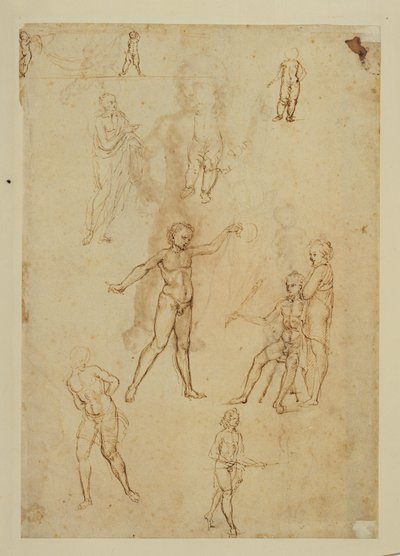 Studia rysunkowe. Pióro i brązowy tusz, metalowa stalówka Papier w kolorze różowym ... autorstwa Francesco di Simone (attr. to)