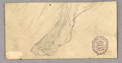 Prawa stopa autorstwa Francis Augustus Lathrop