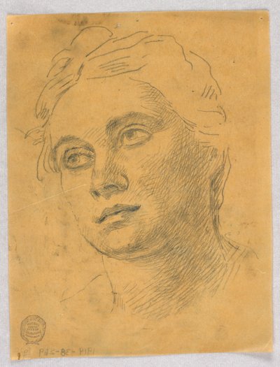 Głowa kobiety autorstwa Francis Augustus Lathrop