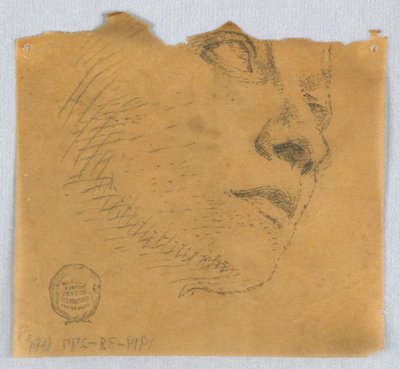 Częściowy szkic twarzy autorstwa Francis Augustus Lathrop
