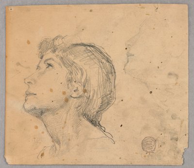 Szkic kobiecej głowy autorstwa Francis Augustus Lathrop