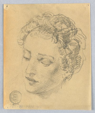 Szkic kobiecej głowy autorstwa Francis Augustus Lathrop