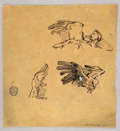 Studia skrzydeł autorstwa Francis Augustus Lathrop