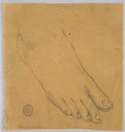 Badanie prawej stopy autorstwa Francis Augustus Lathrop