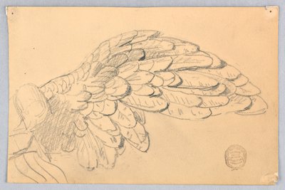 Studium skrzydła autorstwa Francis Augustus Lathrop