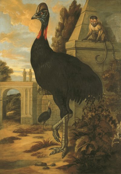 Kazuar autorstwa Francis Barlow