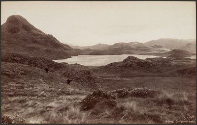 Arthog, jezioro Creigene autorstwa Francis Bedford