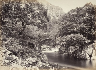  autorstwa Francis Bedford