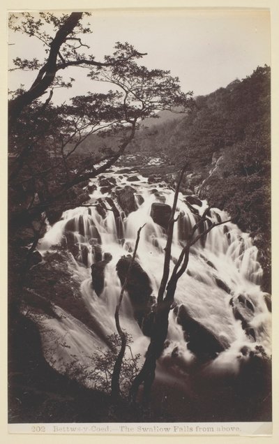Bettw-s-y Coed, Jaskółka spada z góry autorstwa Francis Bedford