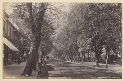 Cheltenham, Promenada autorstwa Francis Bedford