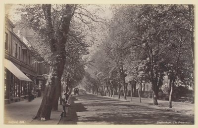 Cheltenham, Promenada, 186094. autorstwa Francis Bedford