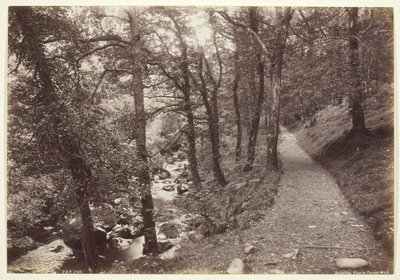 Dolgelley, Widok w Torrent Walk autorstwa Francis Bedford