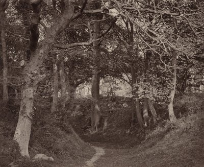 Glen Kenilworth, ok. 1868 (zdjęcie) autorstwa Francis Bedford