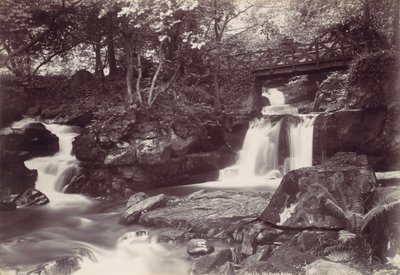 Glen Lun. Rustykalny most, lata 70. XIX wieku. autorstwa Francis Bedford