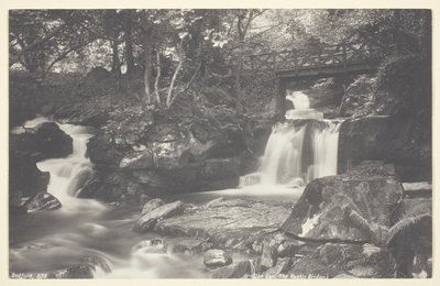 Glen Lyn, Rustykalny Most autorstwa Francis Bedford