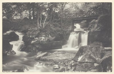Glen Lyn, most rustykalny, 186094. autorstwa Francis Bedford