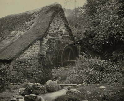 Holly Street Mill, koniec lat 60. XIX wieku. autorstwa Francis Bedford