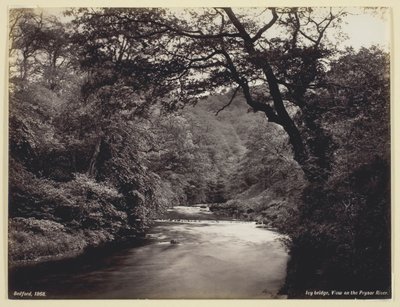 Ivy Bridge, widok na rzekę Prysor autorstwa Francis Bedford