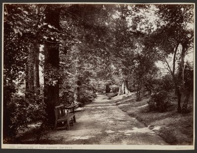 Leamington, w Jephson Gardens autorstwa Francis Bedford