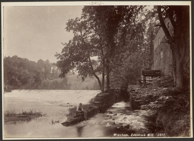 Wrexham, Erbistock Mill autorstwa Francis Bedford