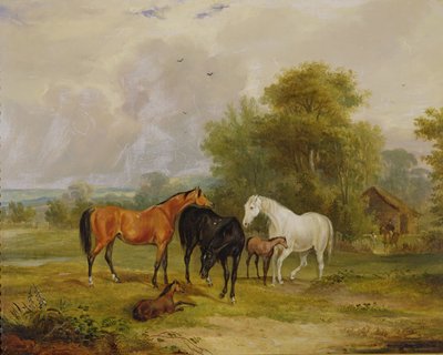Wypas koni: klacze i źrebięta na polu autorstwa Francis Calcraft Turner