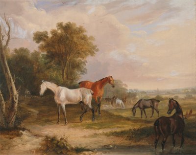 Pasące się konie: siwy ogier pasący się z klaczami na łące autorstwa Francis Calcraft Turner