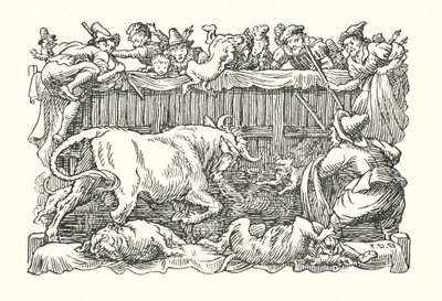 Wesoła Anglia: Wabienie byków (litografia) autorstwa Francis Donkin Bedford