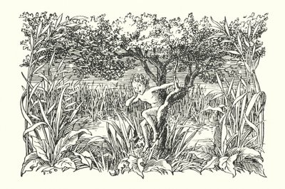 Wesoła Anglia: Robin Goodfellow (litografia) autorstwa Francis Donkin Bedford