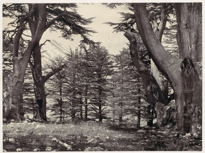  autorstwa Francis Frith
