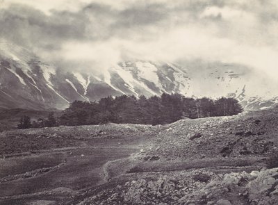 Daleki widok cedrów Libanu, ca. 1857. autorstwa Francis Frith