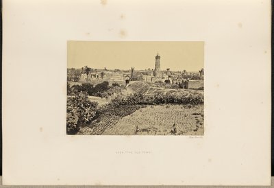 Gaza (Stare Miasto) autorstwa Francis Frith