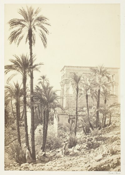 Grupa Palm, 185862. autorstwa Francis Frith