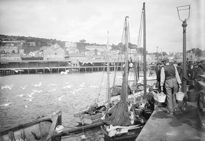 Port Newlyn i nabrzeże rybne, Kornwalia autorstwa Francis Frith