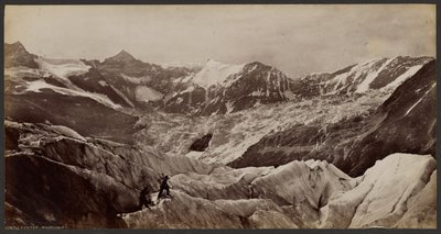 Icemer: Grindelwald autorstwa Francis Frith