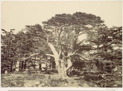  autorstwa Francis Frith