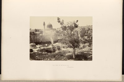 Basen Betesda itp., Jerozolima autorstwa Francis Frith