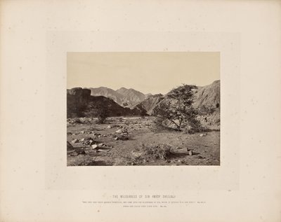 Pustkowie grzechu (Wady Shellal) autorstwa Francis Frith