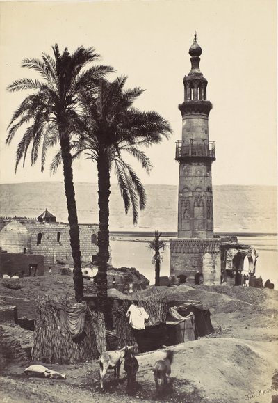 Widok na Girgeh, 1857. autorstwa Francis Frith