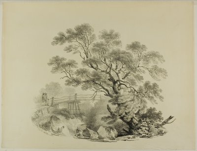 Drzewo i kładka autorstwa Francis Nicholson