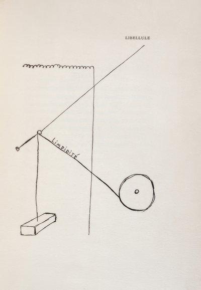 Ważka autorstwa Francis Picabia
