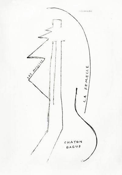 Poemes et Dessins de la Fille nee sans Mere, nr 23, opublikowane przez Imprimeries Reunies, Lozanna autorstwa Francis Picabia