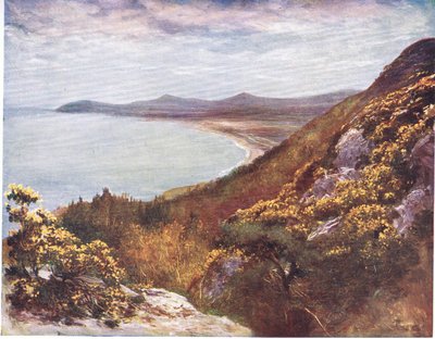 Dublin Bay z Victoria Hill, z Peeps at Many Lands: Irlandia wydana przez Adams & Charles, 1909 autorstwa Francis S. Walker