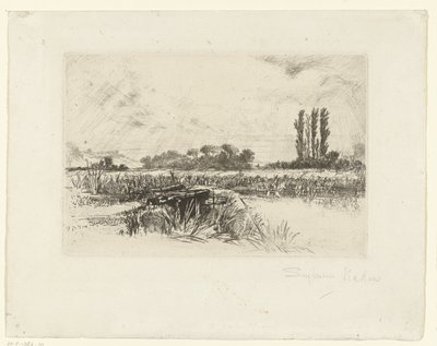 teren zalewowy Łąka wodna autorstwa Francis Seymour Haden (Sir) (signed by artist)