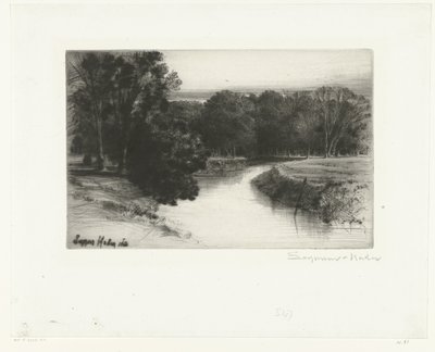 Zachód słońca w Irlandii Zachód słońca w Irlandii autorstwa Francis Seymour Haden (Sir) (signed by artist)