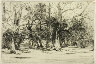 Obwodnica w Tipperary autorstwa Francis Seymour Haden