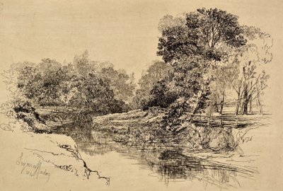 Rzeka w Irlandii autorstwa Francis Seymour Haden