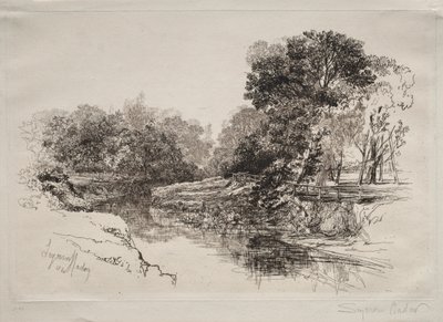 Rzeka w Irlandii, 1864. autorstwa Francis Seymour Haden