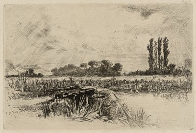 Wodna Łąka autorstwa Francis Seymour Haden